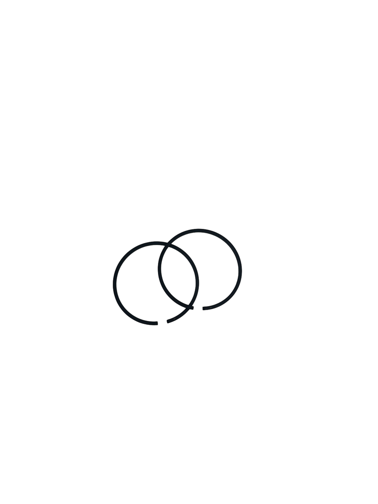 Rines 4500